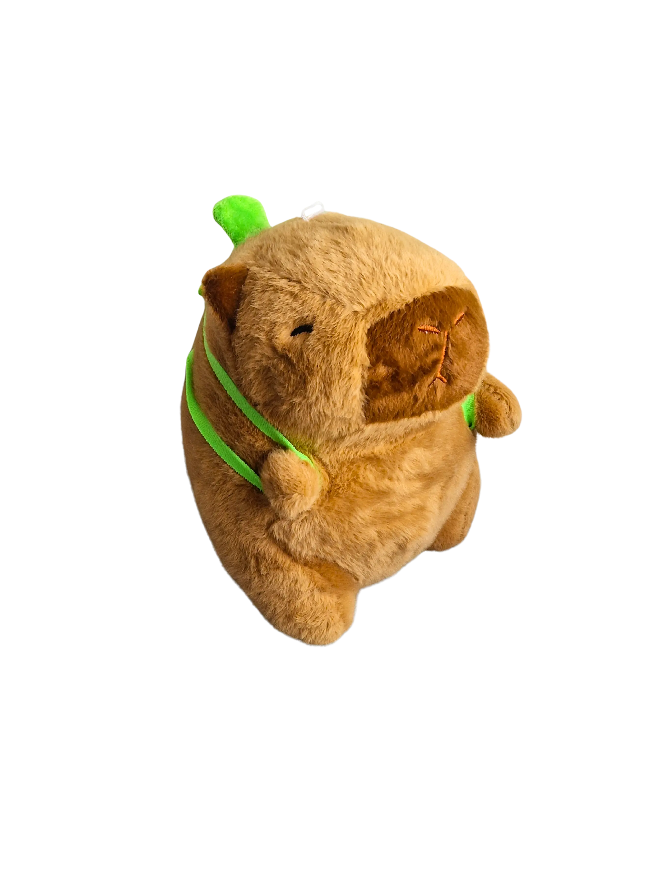 Murmeli – der kleine Träumer auf der Wiese