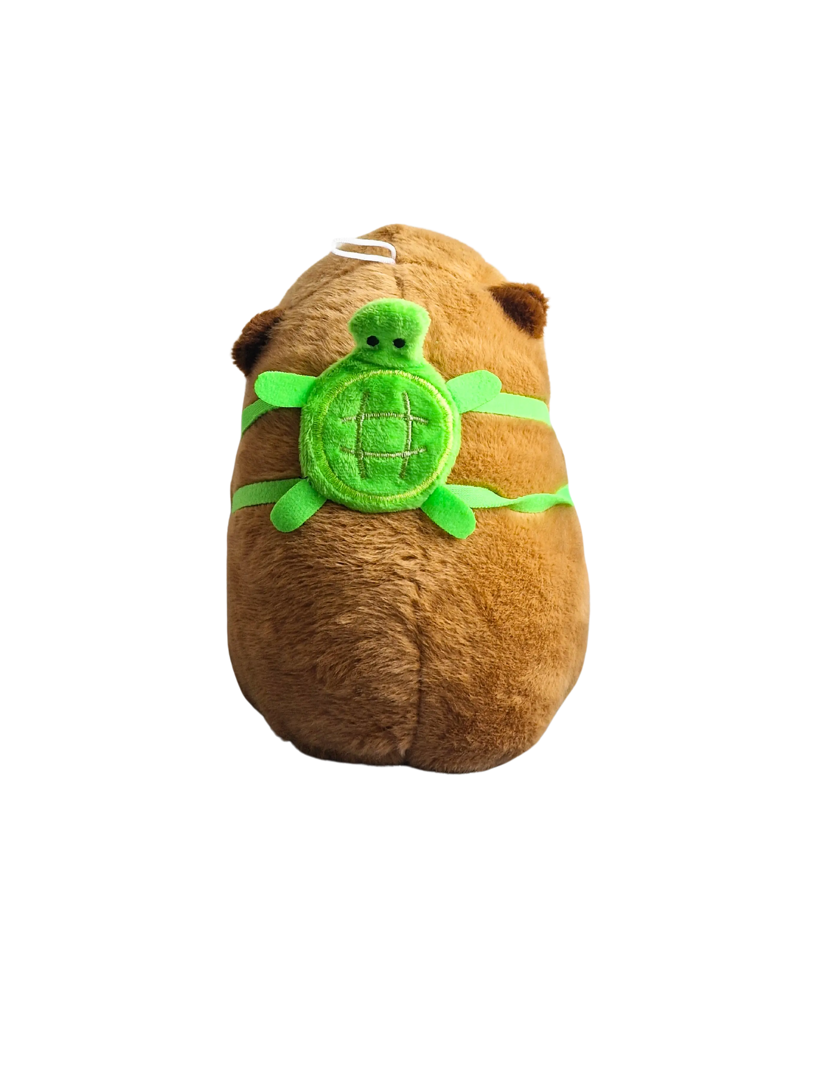 Murmeli – der kleine Träumer auf der Wiese