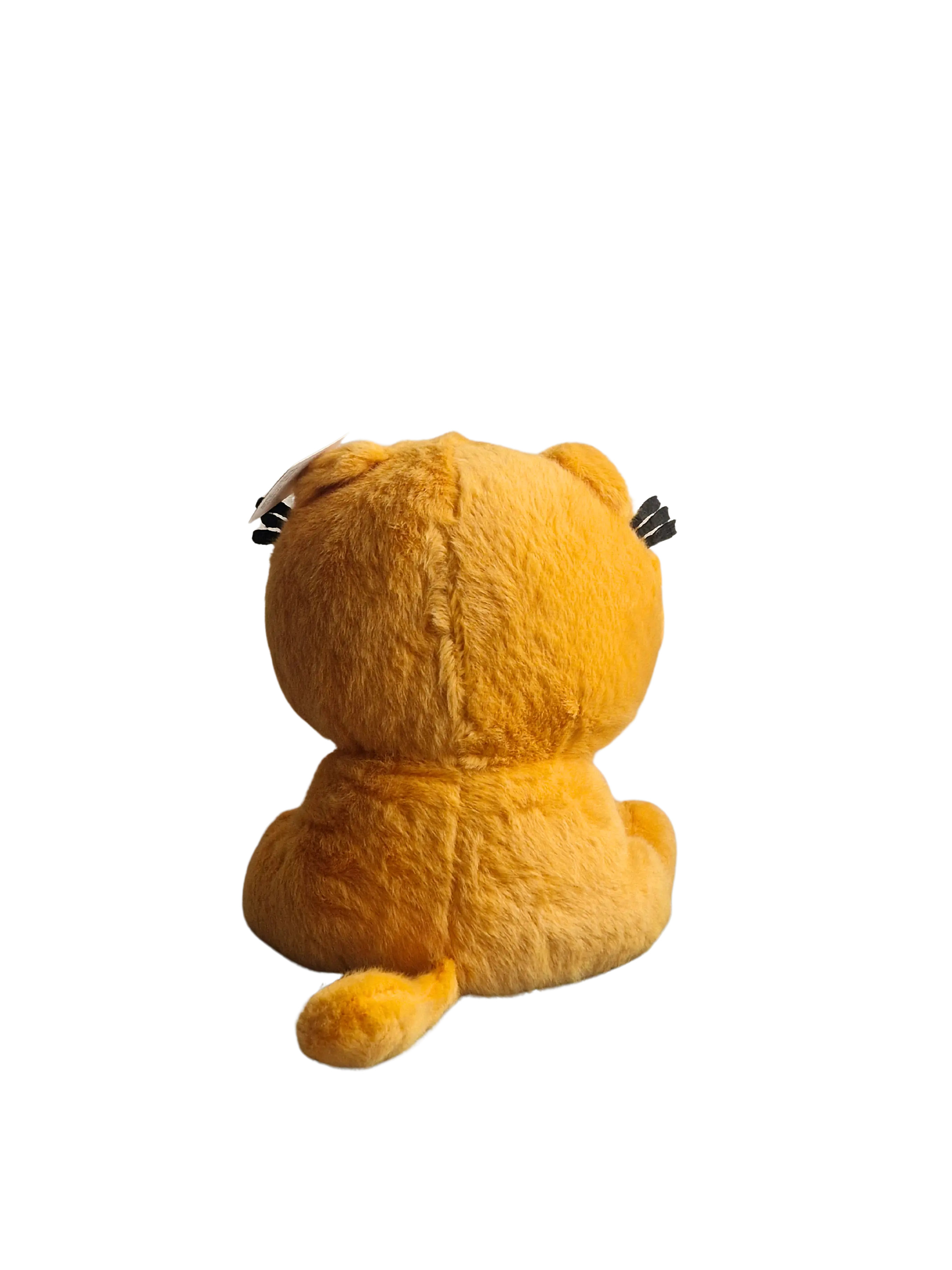 Büsi – die kleine Sonne auf der Wiese