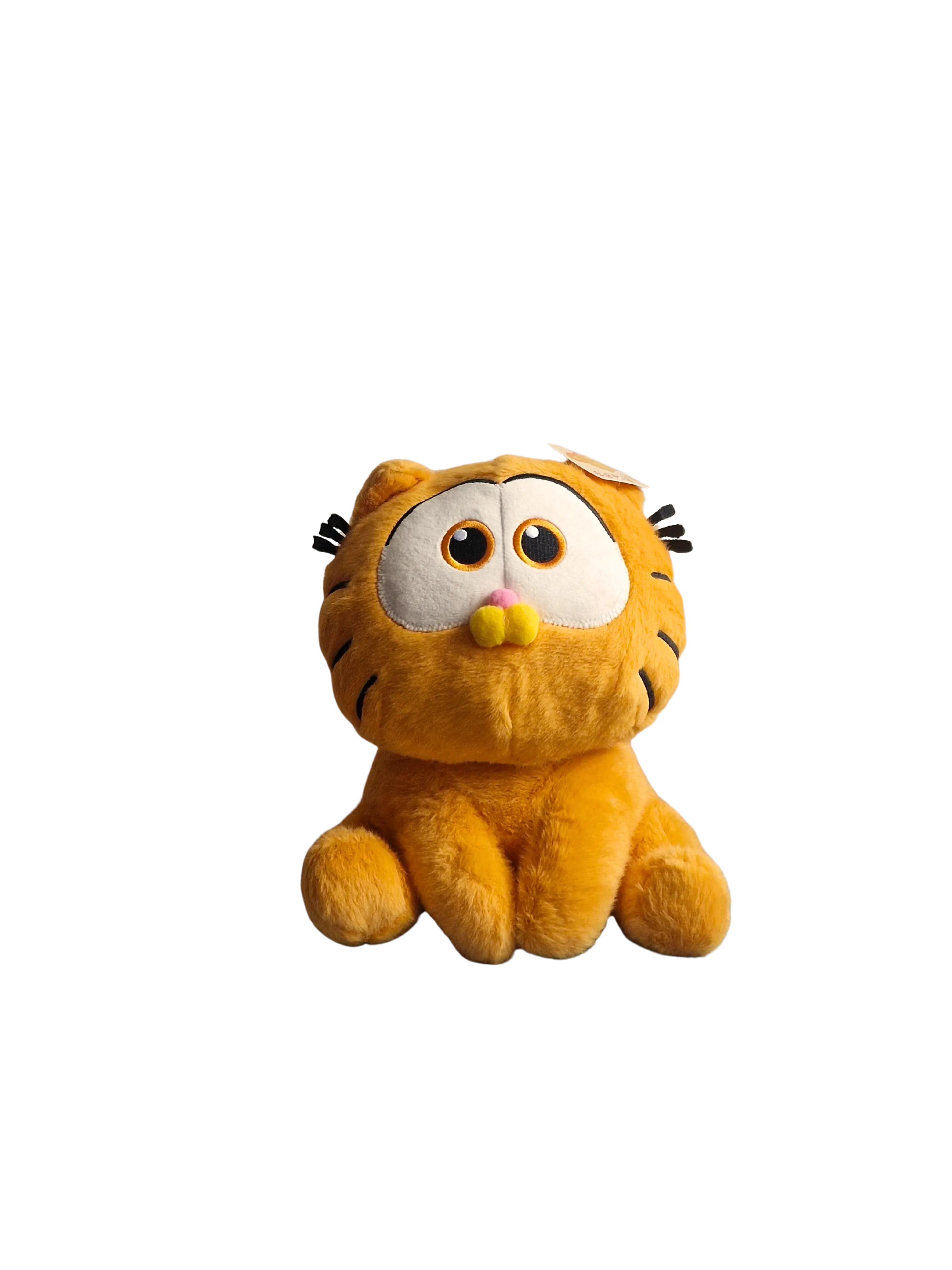 Büsi – die kleine Sonne auf der Wiese